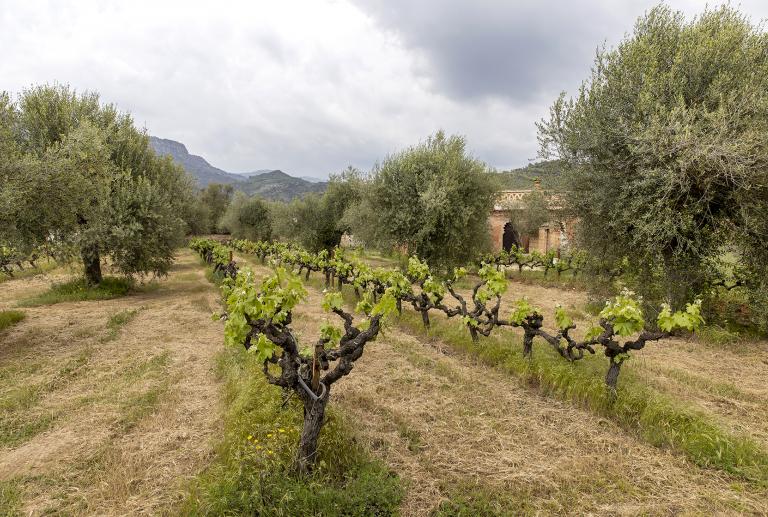 Vivir en un molino by estudio vilablanch